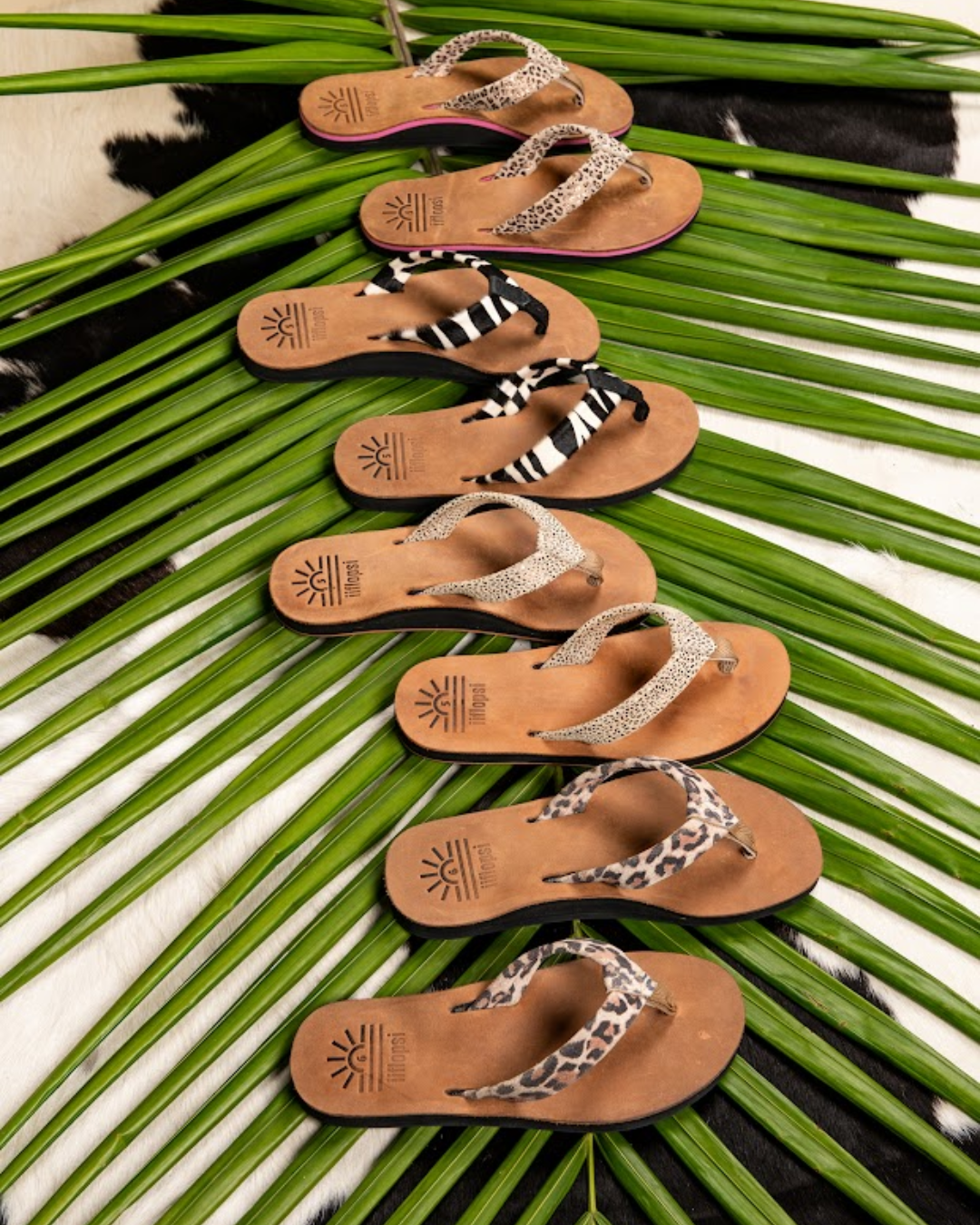 Safari Collection